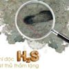 Khí độc H2S – Sát thủ thầm lặng