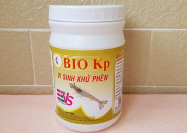Biokp – Vi sinh xử lý phèn hiệu quả