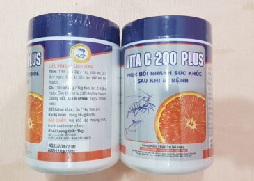 Vitamin C 200 Plus – Tăng cường sức đề kháng cho tôm cá